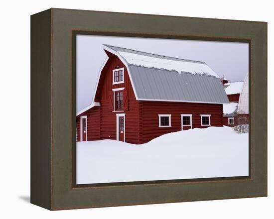 Red Barn in the Snow-James Randklev-Framed Premier Image Canvas