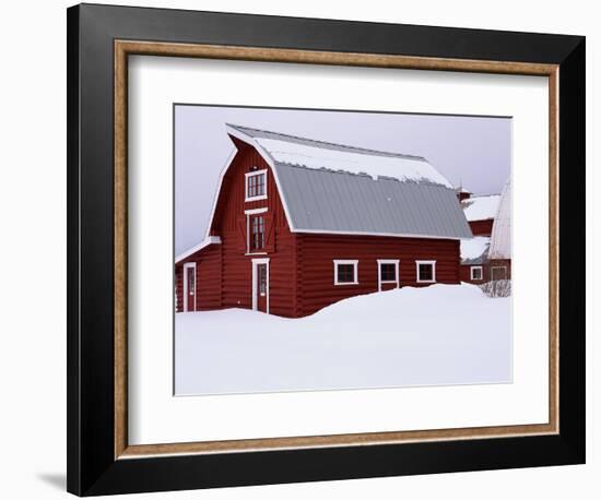 Red Barn in the Snow-James Randklev-Framed Photographic Print