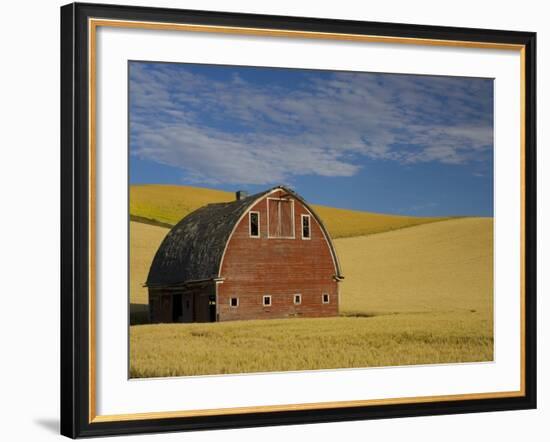 Red Barn in Wheat Field-Darrell Gulin-Framed Photographic Print