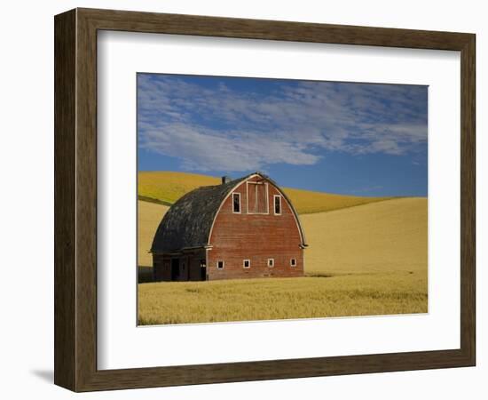 Red Barn in Wheat Field-Darrell Gulin-Framed Photographic Print