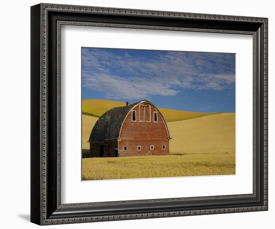 Red Barn in Wheat Field-Darrell Gulin-Framed Photographic Print