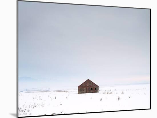 Red Barn near Hamilton Montana-Jason Savage-Mounted Art Print