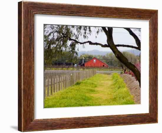 Red Barn near Vineyards, Napa Valley, California, USA-Julie Eggers-Framed Photographic Print