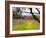 Red Barn near Vineyards, Napa Valley, California, USA-Julie Eggers-Framed Photographic Print