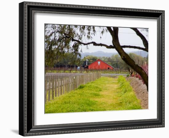 Red Barn near Vineyards, Napa Valley, California, USA-Julie Eggers-Framed Photographic Print