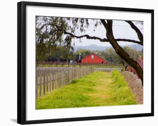 Red Barn near Vineyards, Napa Valley, California, USA-Julie Eggers-Framed Photographic Print