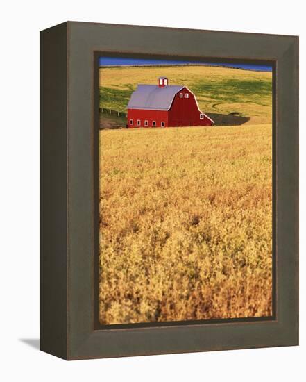 Red Barn on Rolling Hills-Stuart Westmorland-Framed Premier Image Canvas