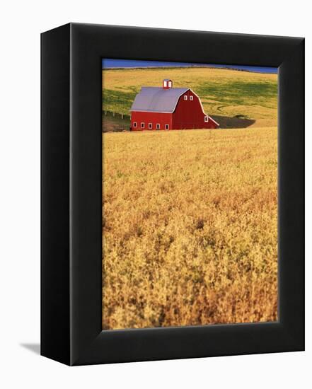 Red Barn on Rolling Hills-Stuart Westmorland-Framed Premier Image Canvas