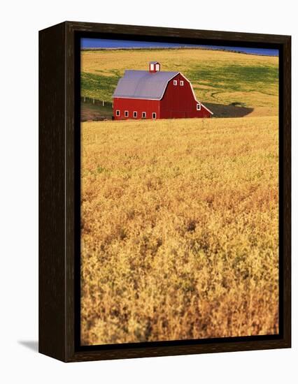 Red Barn on Rolling Hills-Stuart Westmorland-Framed Premier Image Canvas