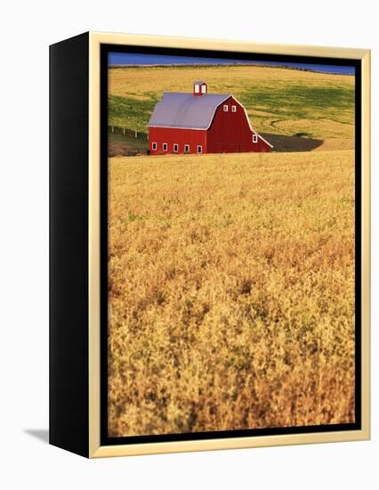 Red Barn on Rolling Hills-Stuart Westmorland-Framed Premier Image Canvas