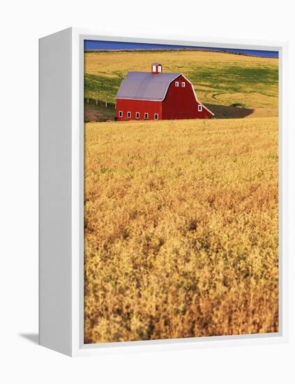 Red Barn on Rolling Hills-Stuart Westmorland-Framed Premier Image Canvas