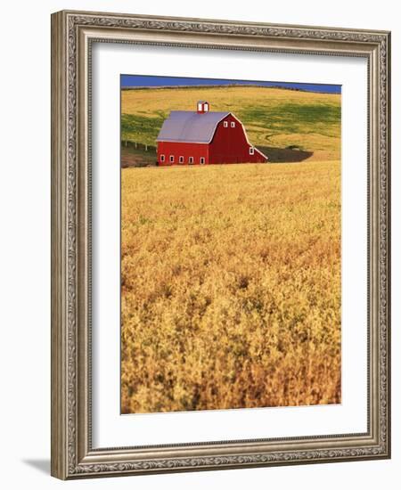 Red Barn on Rolling Hills-Stuart Westmorland-Framed Photographic Print