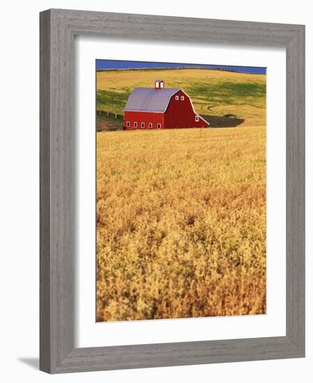 Red Barn on Rolling Hills-Stuart Westmorland-Framed Photographic Print