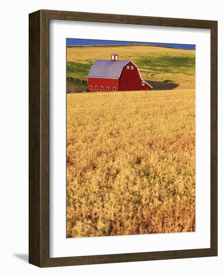 Red Barn on Rolling Hills-Stuart Westmorland-Framed Photographic Print