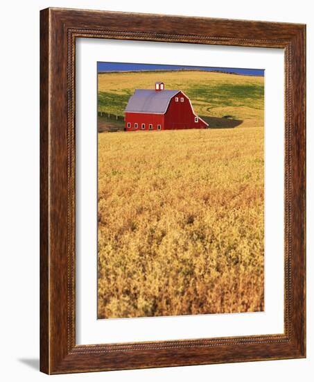 Red Barn on Rolling Hills-Stuart Westmorland-Framed Photographic Print