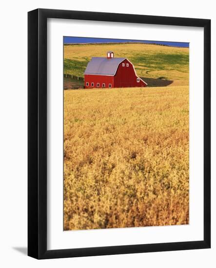 Red Barn on Rolling Hills-Stuart Westmorland-Framed Photographic Print