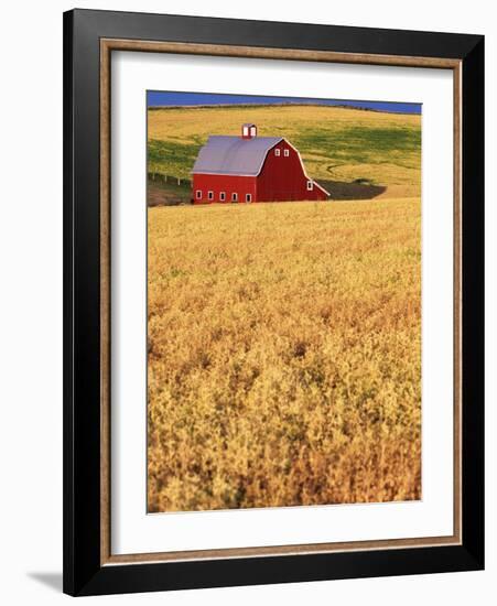 Red Barn on Rolling Hills-Stuart Westmorland-Framed Photographic Print