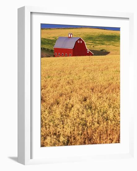 Red Barn on Rolling Hills-Stuart Westmorland-Framed Photographic Print