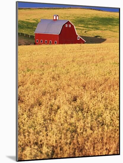 Red Barn on Rolling Hills-Stuart Westmorland-Mounted Photographic Print