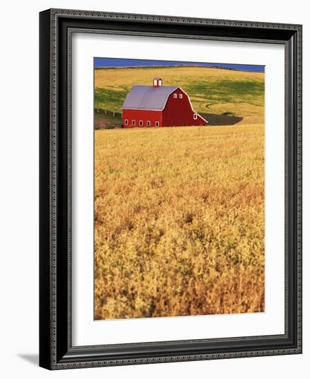 Red Barn on Rolling Hills-Stuart Westmorland-Framed Photographic Print