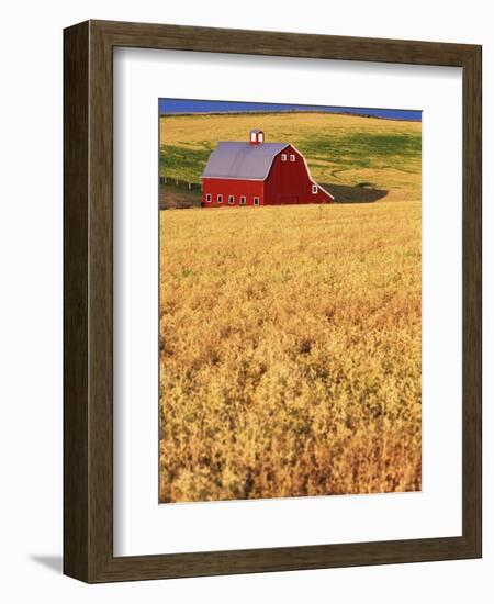 Red Barn on Rolling Hills-Stuart Westmorland-Framed Photographic Print