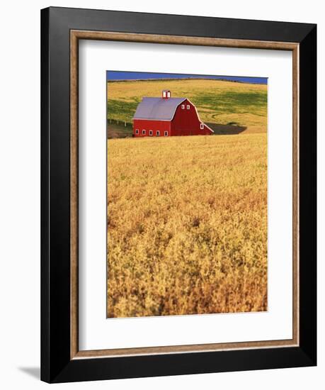 Red Barn on Rolling Hills-Stuart Westmorland-Framed Photographic Print