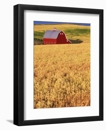 Red Barn on Rolling Hills-Stuart Westmorland-Framed Photographic Print