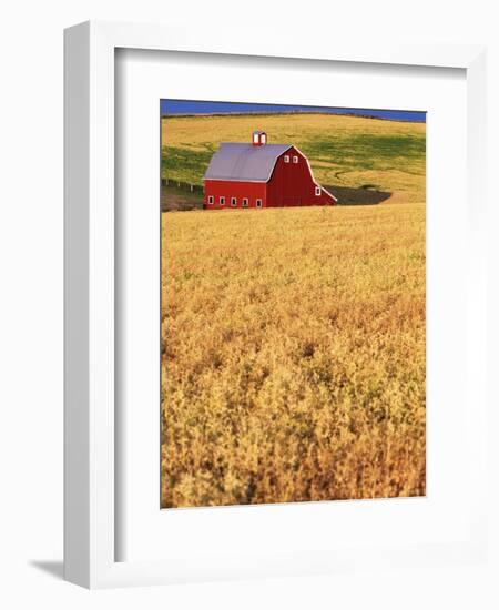 Red Barn on Rolling Hills-Stuart Westmorland-Framed Photographic Print