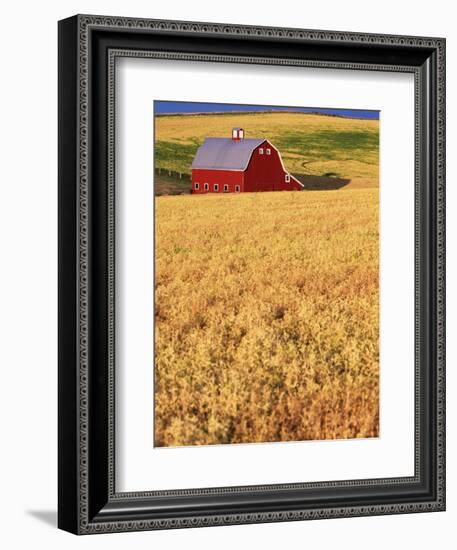 Red Barn on Rolling Hills-Stuart Westmorland-Framed Photographic Print