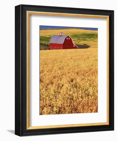 Red Barn on Rolling Hills-Stuart Westmorland-Framed Photographic Print