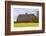 Red barn surrounded by canola in the Flathead Valley, Montana, USA-Chuck Haney-Framed Photographic Print