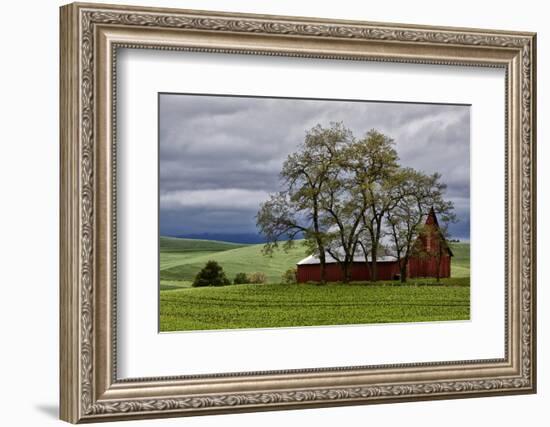 Red Barn under Stormy Skies with Green Peas, Palouse, Washington, USA-Jaynes Gallery-Framed Photographic Print