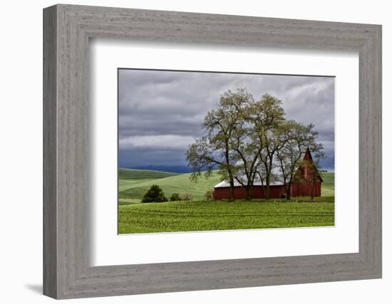 Red Barn under Stormy Skies with Green Peas, Palouse, Washington, USA-Jaynes Gallery-Framed Photographic Print