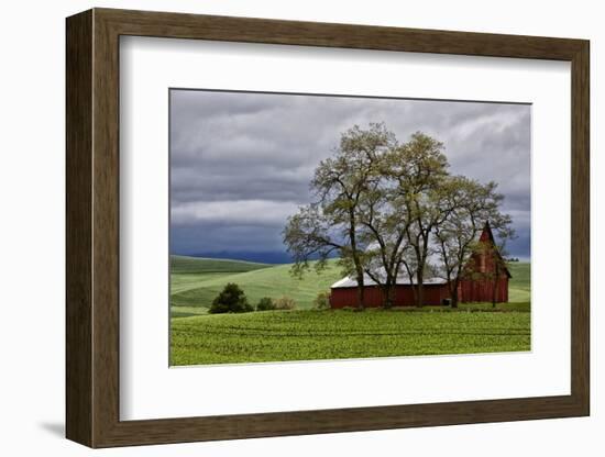 Red Barn under Stormy Skies with Green Peas, Palouse, Washington, USA-Jaynes Gallery-Framed Photographic Print