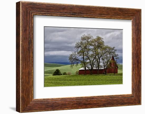 Red Barn under Stormy Skies with Green Peas, Palouse, Washington, USA-Jaynes Gallery-Framed Photographic Print