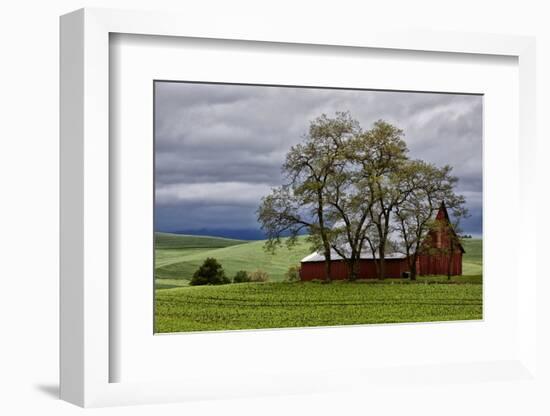 Red Barn under Stormy Skies with Green Peas, Palouse, Washington, USA-Jaynes Gallery-Framed Photographic Print