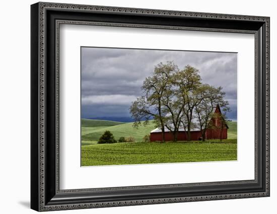 Red Barn under Stormy Skies with Green Peas, Palouse, Washington, USA-Jaynes Gallery-Framed Photographic Print