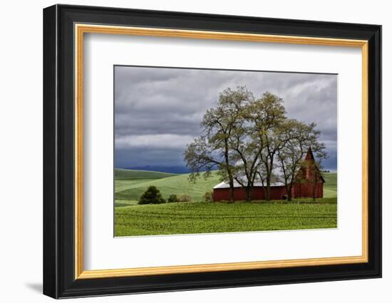 Red Barn under Stormy Skies with Green Peas, Palouse, Washington, USA-Jaynes Gallery-Framed Photographic Print