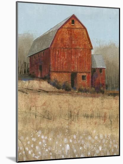 Red Barn View I-Tim O'toole-Mounted Art Print