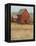 Red Barn View II-Tim O'toole-Framed Stretched Canvas