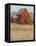 Red Barn View II-Tim O'toole-Framed Stretched Canvas