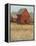 Red Barn View II-Tim O'toole-Framed Stretched Canvas