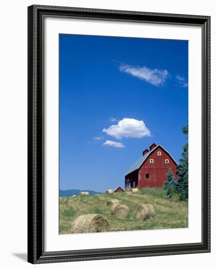 Red Barn with Rolled Hay Bales, Potlatch, Idaho, USA-Julie Eggers-Framed Photographic Print