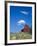 Red Barn with Rolled Hay Bales, Potlatch, Idaho, USA-Julie Eggers-Framed Photographic Print