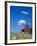 Red Barn with Rolled Hay Bales, Potlatch, Idaho, USA-Julie Eggers-Framed Photographic Print