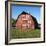 Red Barn-Ron Chapple-Framed Photographic Print