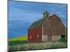 Red Barn-Darrell Gulin-Mounted Photographic Print