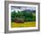 Red Barn-Steven Maxx-Framed Photographic Print