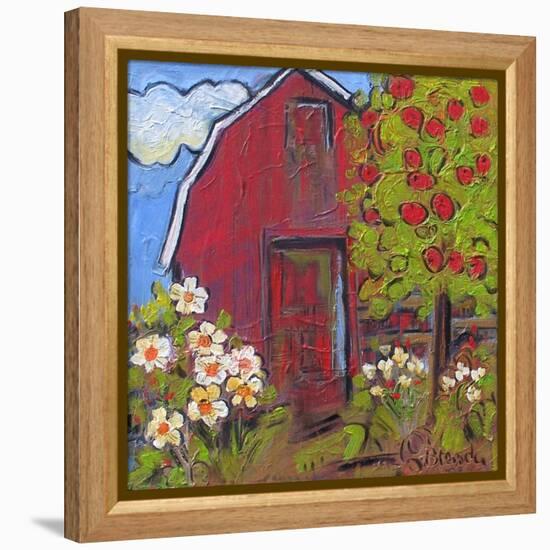 Red Barn-Blenda Tyvoll-Framed Stretched Canvas