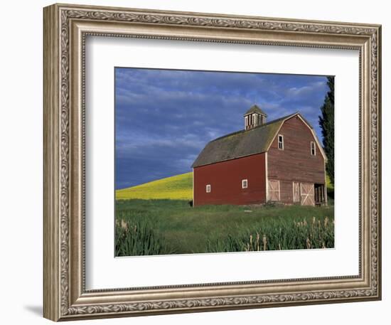 Red Barns and Canola Fields, Eastern Washington, USA-Darrell Gulin-Framed Photographic Print